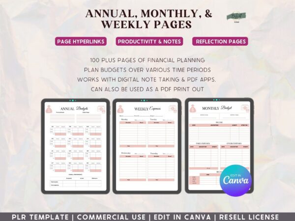 PLR, Budget and Finance Manifestation Planner - Blush - Image 8