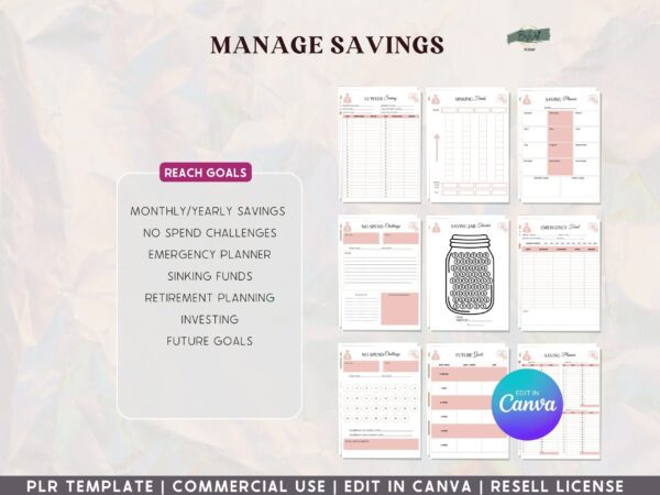 PLR, Budget and Finance Manifestation Planner - Blush - Image 6