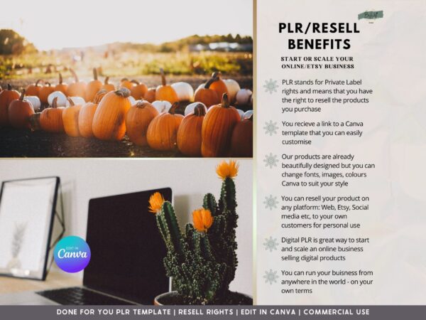 PLR Halloween Baby Shower Invitations - Image 3
